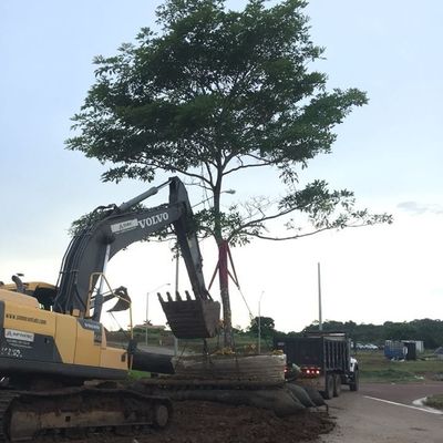 Công suất cao Trọng lượng nặng Nâng Tàu nổi Túi khí cao su